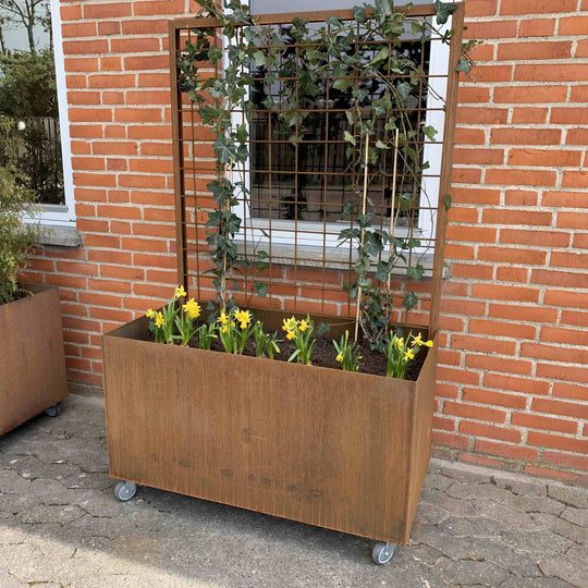Pflanzkasten mit Spalier