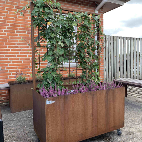 Pflanzkasten mit Spalier
