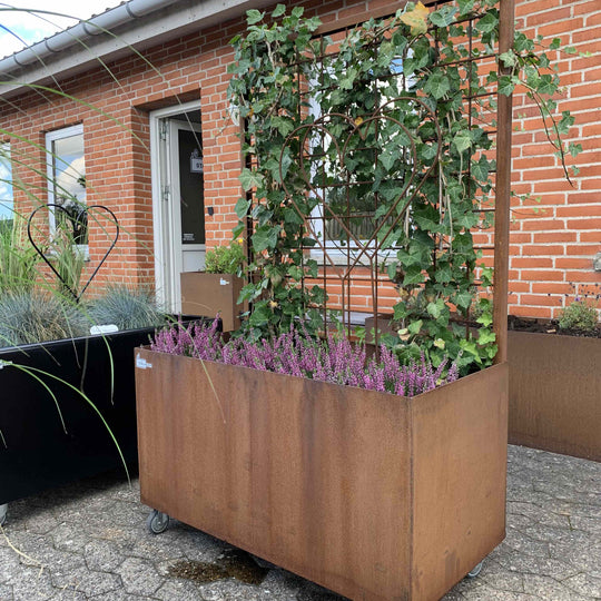 Pflanzkasten mit Spalier